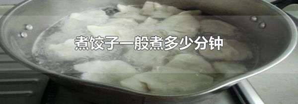 煮饺子一般煮多少分钟