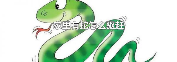 家里有蛇怎么驱赶