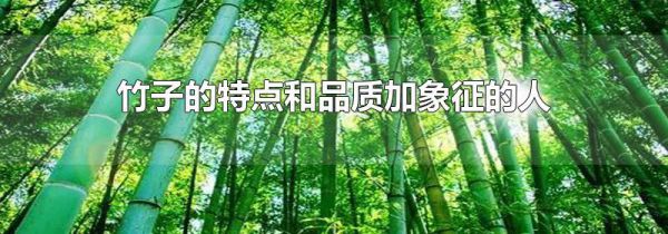 竹子的特点和品质加象征的人