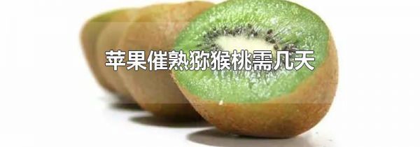 苹果催熟猕猴桃需几天