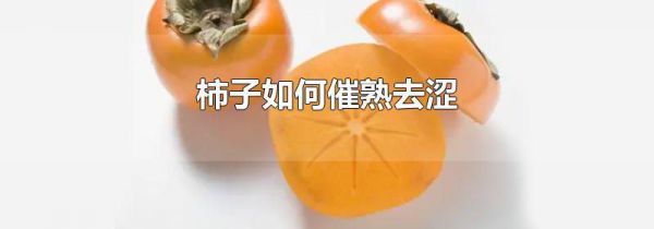 柿子如何催熟去涩