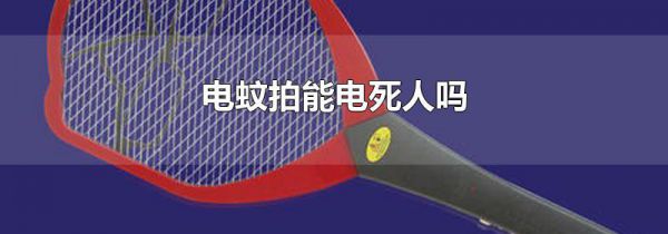电蚊拍能电死人吗