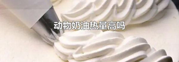 动物奶油热量高吗