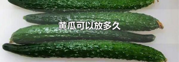 黄瓜可以放多久