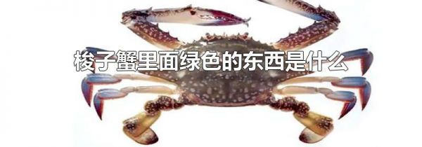 梭子蟹里面绿色的东西是什么
