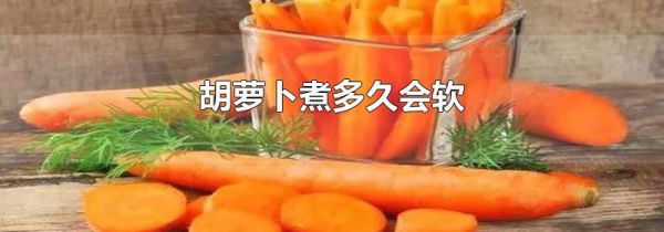 胡萝卜煮多久会软