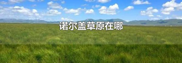 诺尔盖草原在哪