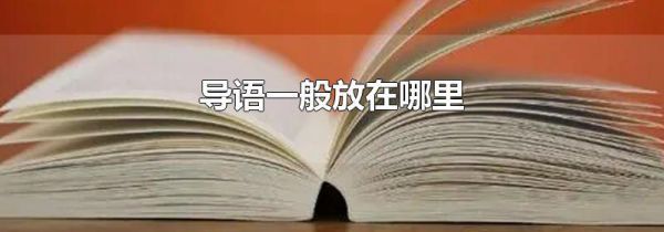 导语一般放在哪里