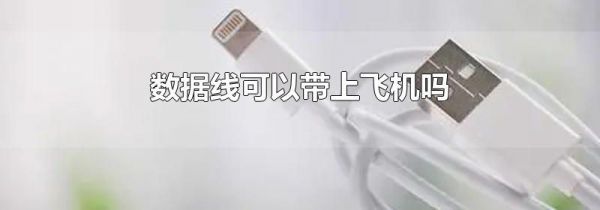 数据线可以带上飞机吗