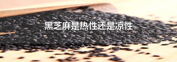 黑芝麻是热性还是凉性