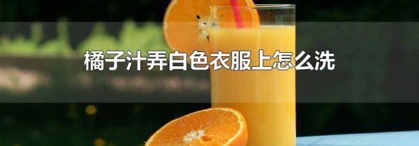 橘子汁弄白色衣服上怎么洗
