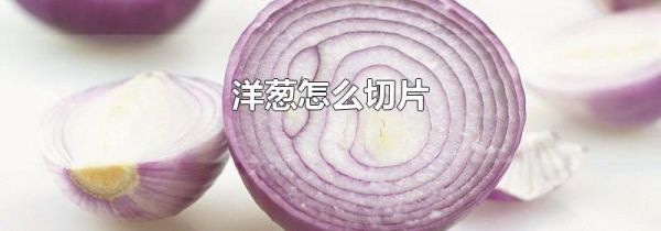 洋葱怎么切片