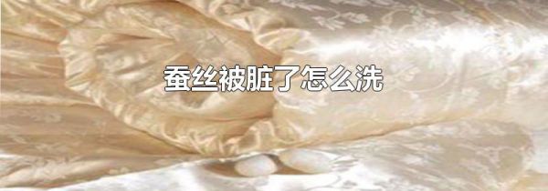 蚕丝被脏了怎么洗