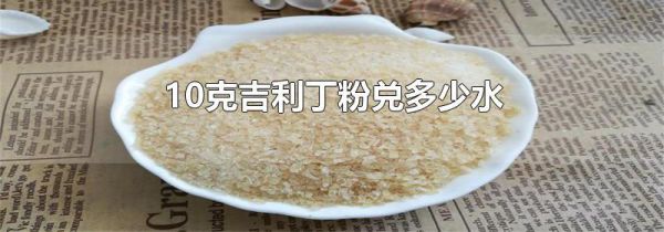 10克吉利丁粉兑多少水