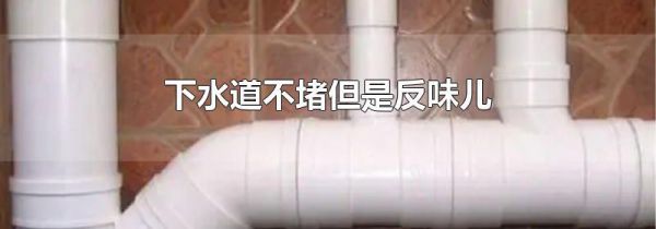 下水道不堵但是反味儿