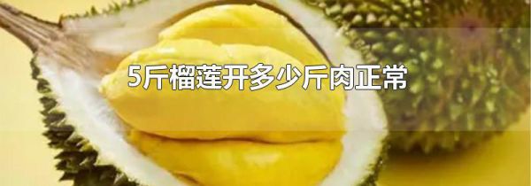 5斤榴莲开多少斤肉正常