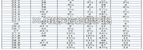 38.5鞋码对应的国际尺码