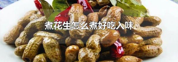 煮花生怎么煮好吃入味