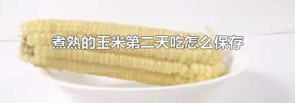 煮熟的玉米第二天吃怎么保存
