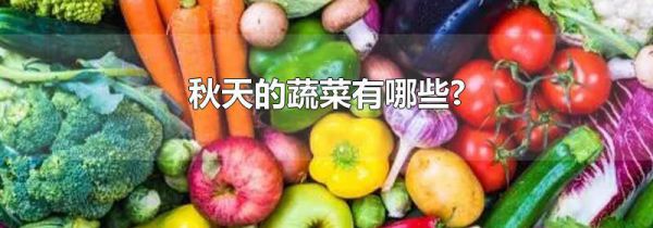 秋天的蔬菜有哪些?