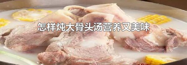 怎样炖大骨头汤营养又美味