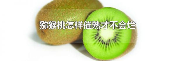 猕猴桃怎样催熟才不会烂