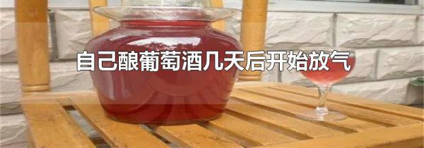 自己酿葡萄酒几天后开始放气