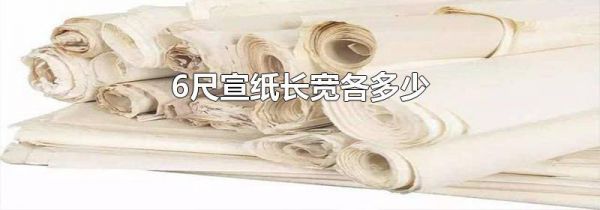 6尺宣纸长宽各多少
