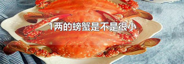 1两的螃蟹是不是很小