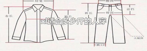 xl适合多少斤的人穿