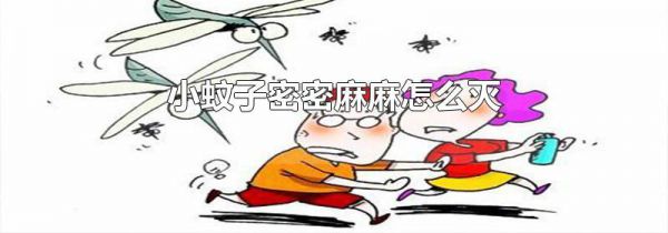 小蚊子密密麻麻怎么灭