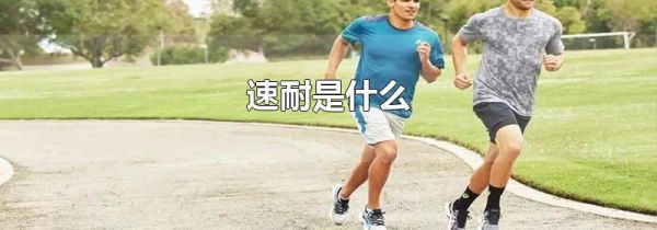 速耐是什么