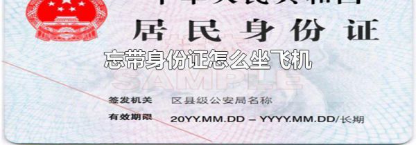 忘带身份证怎么坐飞机