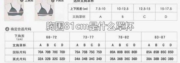 胸围81cm是什么罩杯