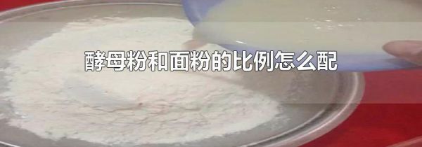 酵母粉和面粉的比例怎么配
