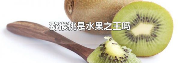 猕猴桃是水果之王吗