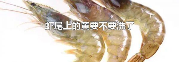 虾尾上的黄要不要洗了