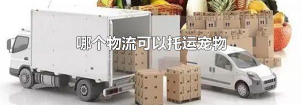哪个物流可以托运宠物