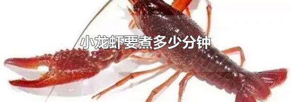 小龙虾要煮多少分钟