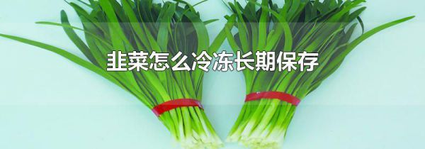 韭菜怎么冷冻长期保存