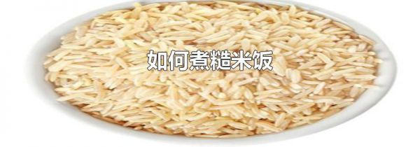 如何煮糙米饭