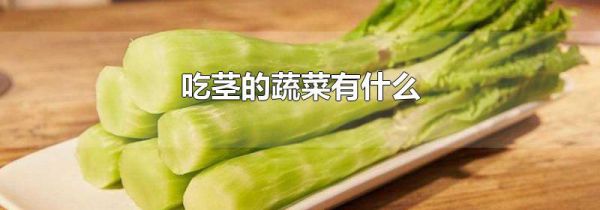 吃茎的蔬菜有什么