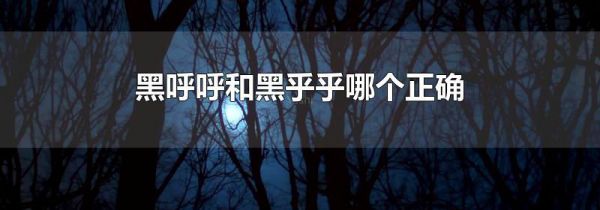 黑呼呼和黑乎乎哪个正确