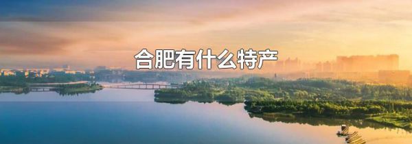 合肥有什么特产
