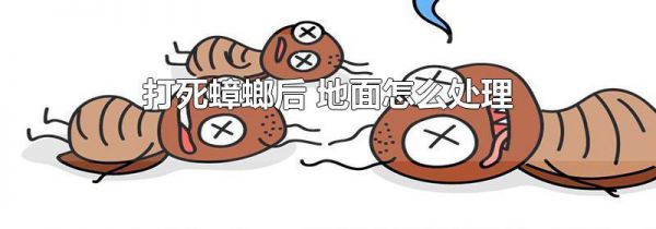 打死蟑螂后 地面怎么处理