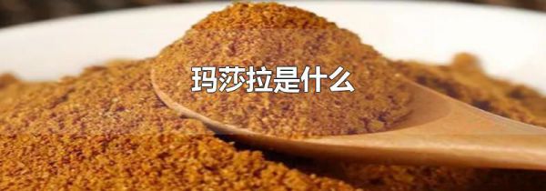 玛莎拉是什么