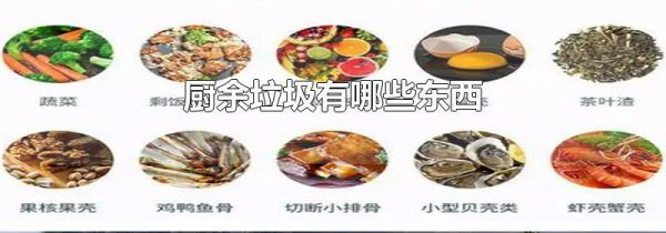 厨余垃圾有哪些东西