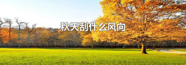 秋天刮什么风向