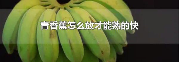 青香蕉怎么放才能熟的快