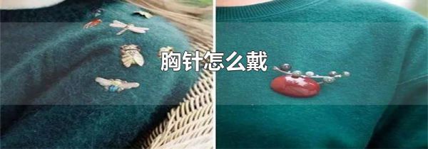 胸针怎么戴